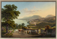 Blick von Nordosten auf den Neuenburger Weinberg und die Stadt